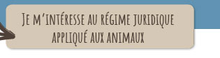 Je m’intéresse au régime juridique
appliqué aux animaux